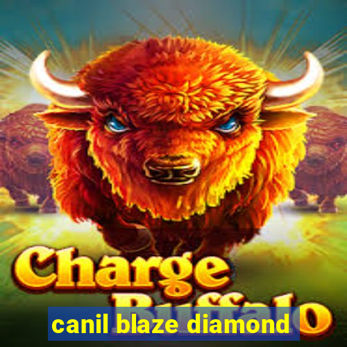 canil blaze diamond